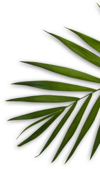 Aura Beauty Labs | Luxury Salon & Spa in Delhi