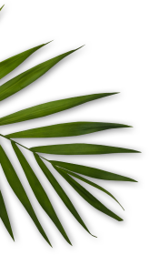 Aura Beauty Labs | Luxury Salon & Spa in Delhi